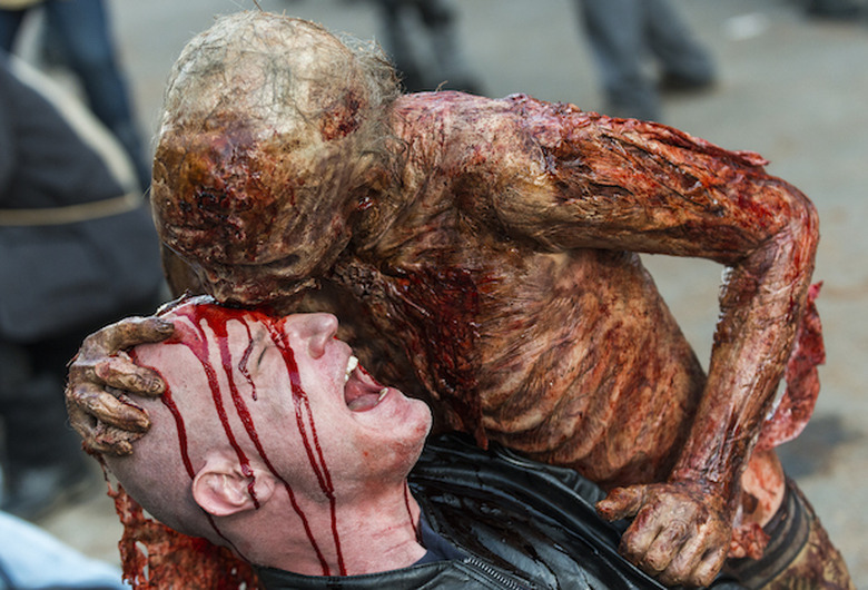 the walking dead season 8 photos