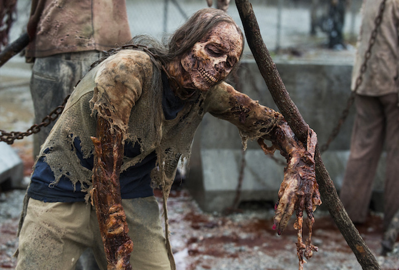 the walking dead season 8 photos