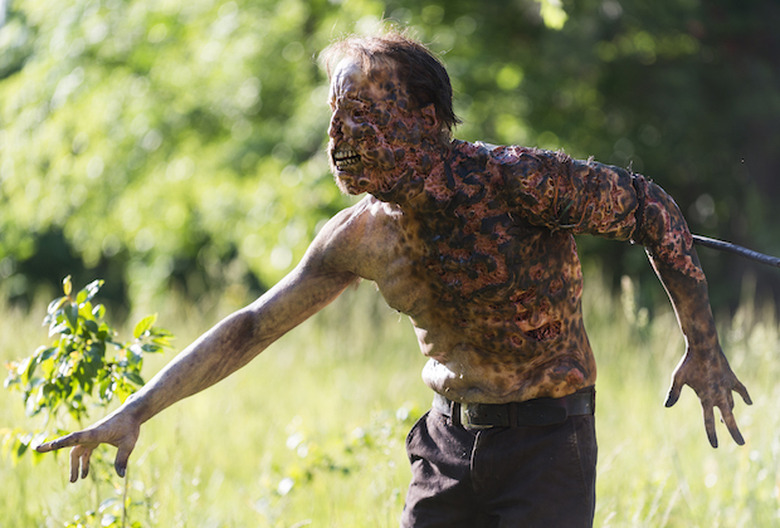 the walking dead season 8 photos
