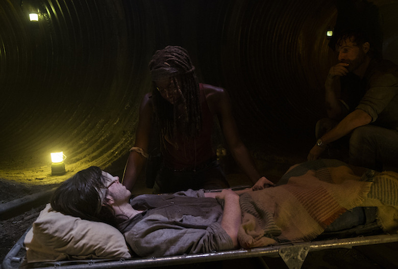 the walking dead season 8 photos