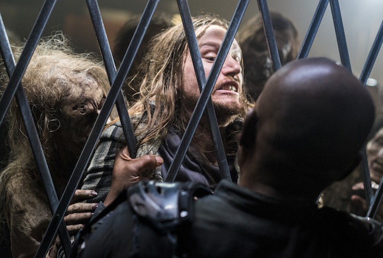 the walking dead season 8 photos