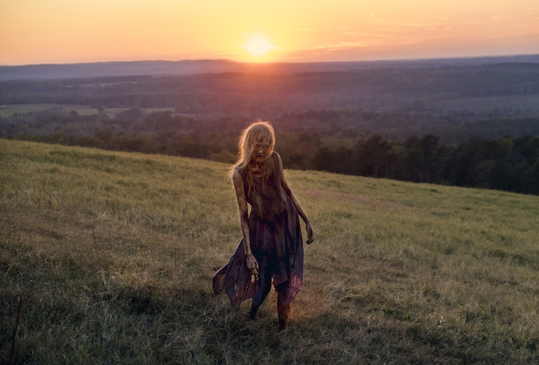 the walking dead season 8 photos