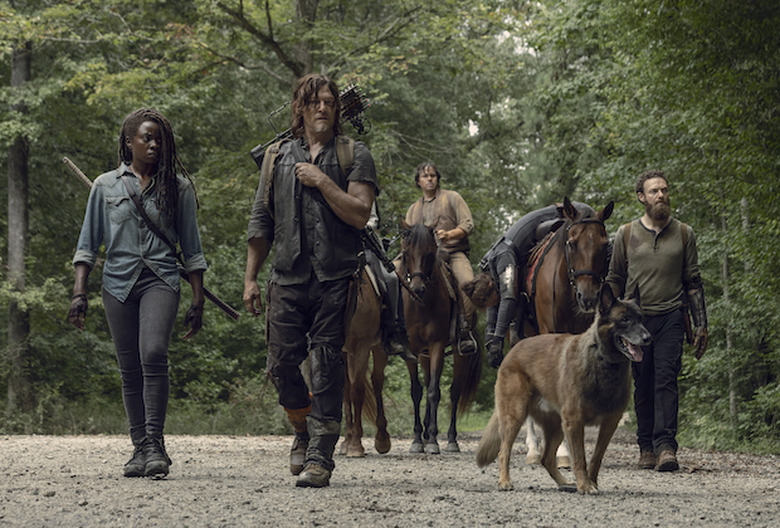 the walking dead season 9 photos