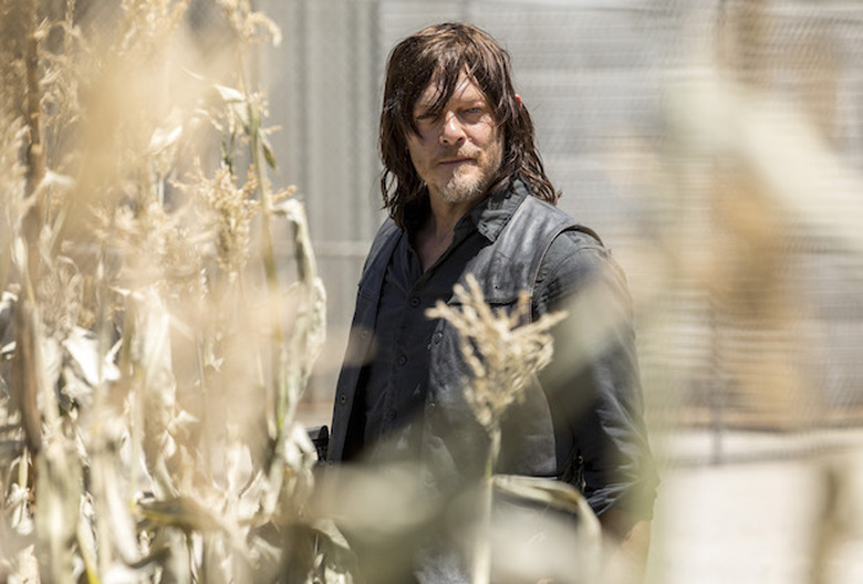 the walking dead season 9 photos