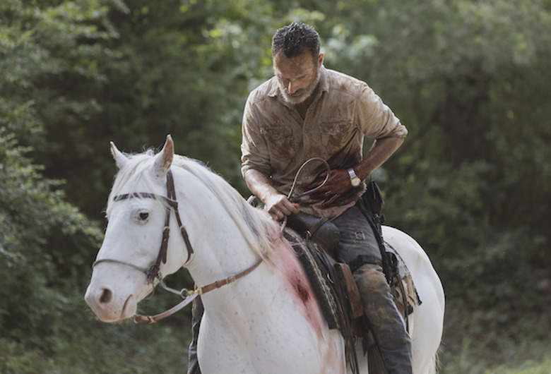 the walking dead season 9 photos