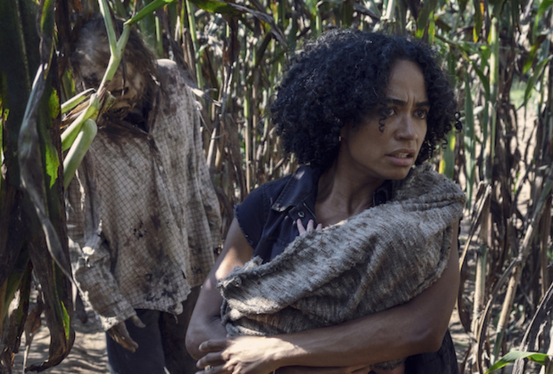 the walking dead season 9 photos