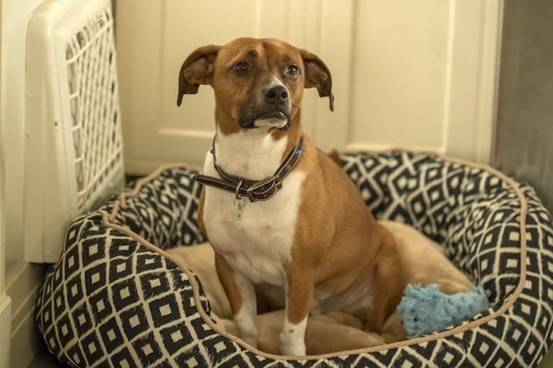 This Is Us Season 2 Photos