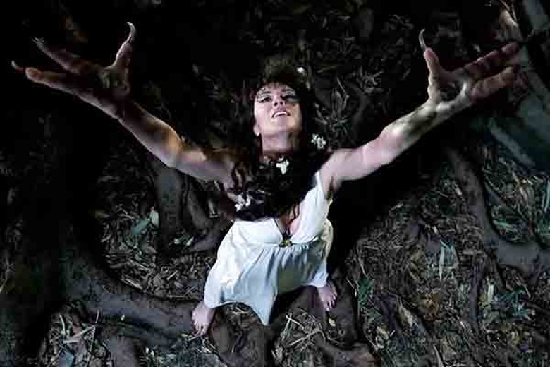 True Blood Series Finale