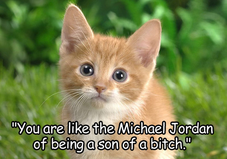 true-detective-cats-01