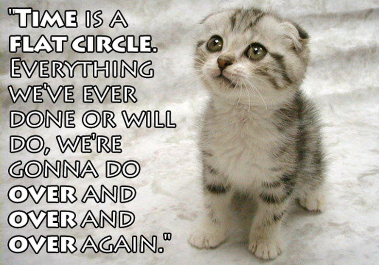 true-detective-cats-03