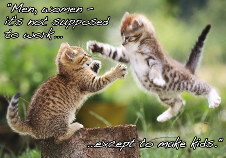 true-detective-cats-04