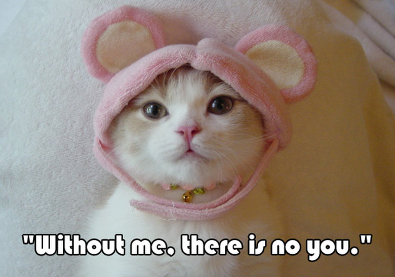 true-detective-cats-05