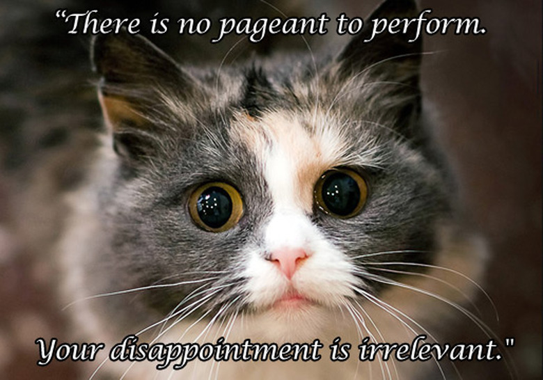 true-detective-cats-06