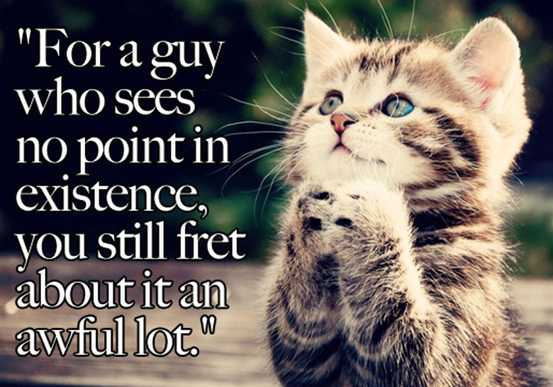 true-detective-cats-09