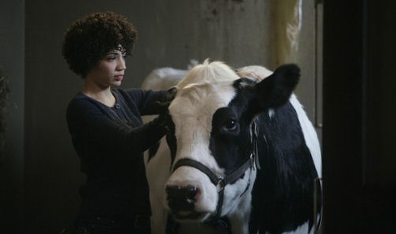 cancelled-shows-Jasika-Nicole-Fringe