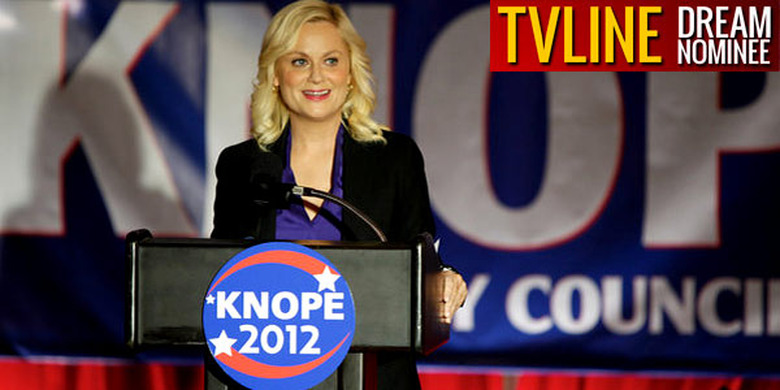 Parks and Recreation Amy Poehler
