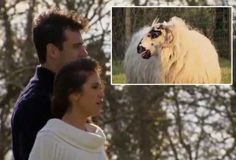 the-bachelorette-kaitlyn-sheep-wool-quote