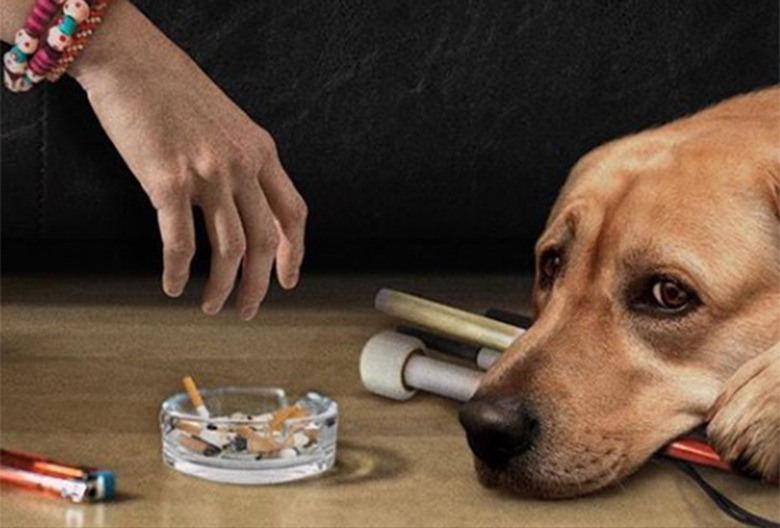 Upfronts 2018 Best Worst Moments