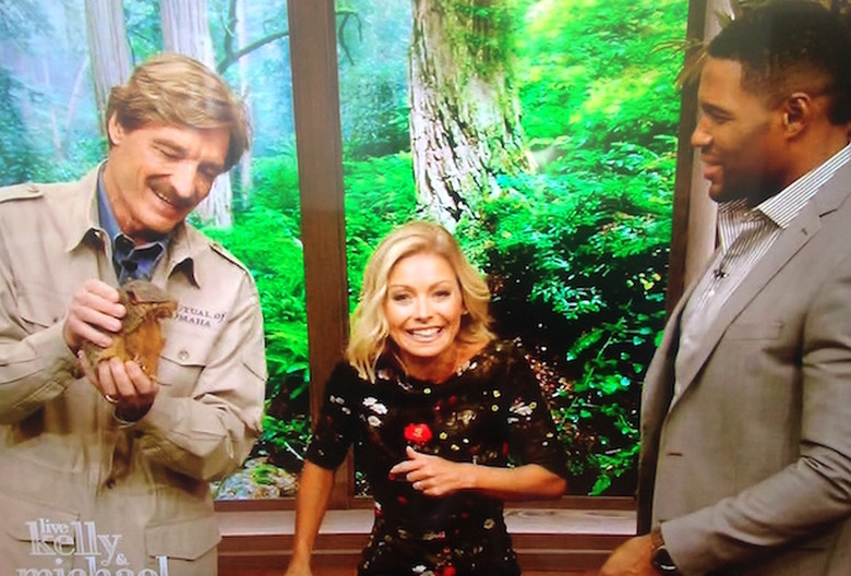 live-kelly-michael-contract-negotiations-quote