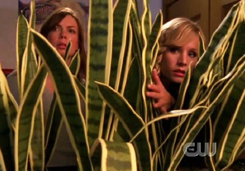 Veronica Mars Recap Every Episode Movie Complete List
