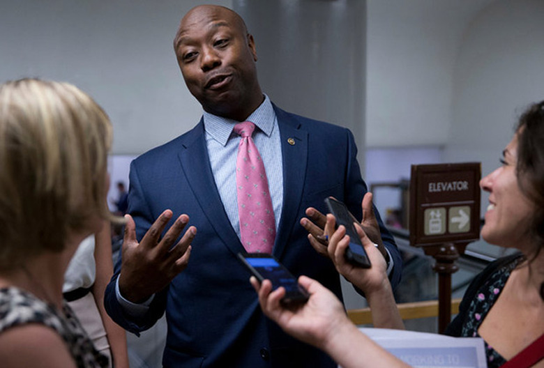 Vice-Presidential Debate Winners Losers