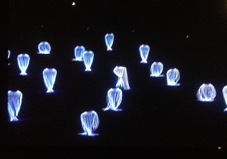 sochi opening swan lake