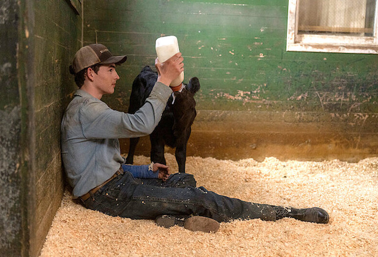 yellowstone season 5 photos