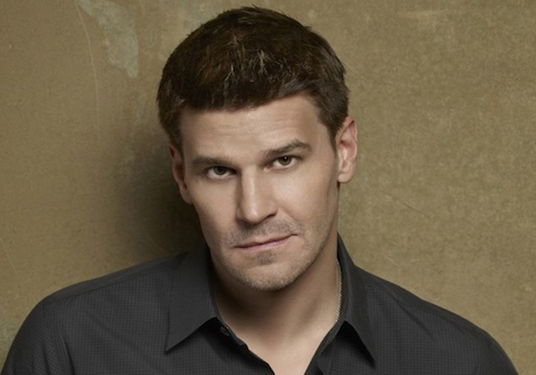 Bones Season 8 Spoilers