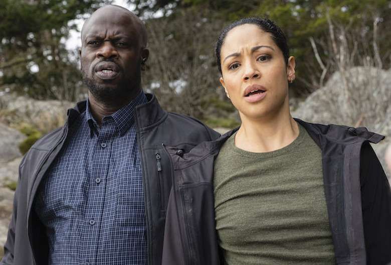 Debris Preview Time Loop