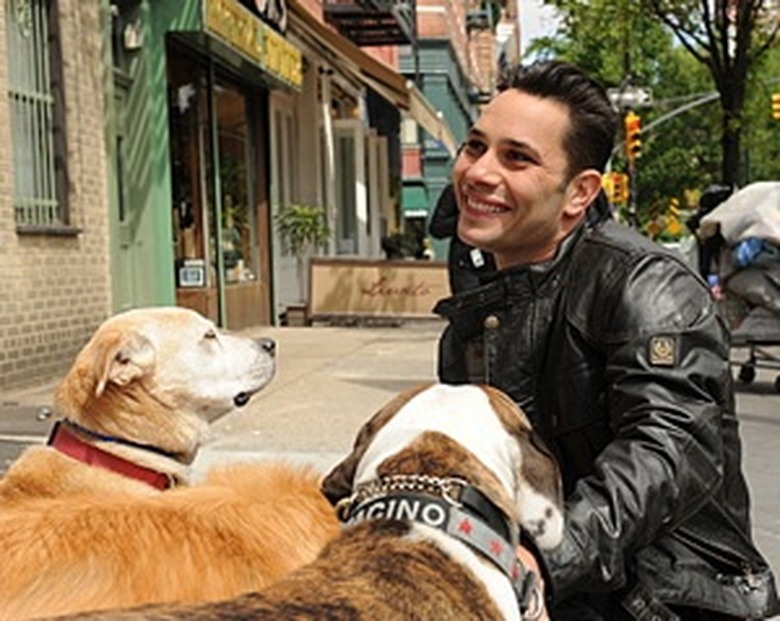 DOGS IN THE CITY