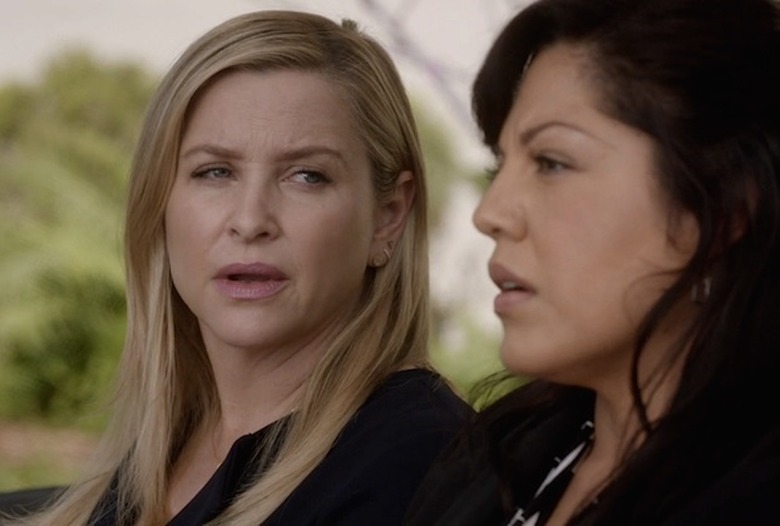 greys-anatomy-arizona-delete