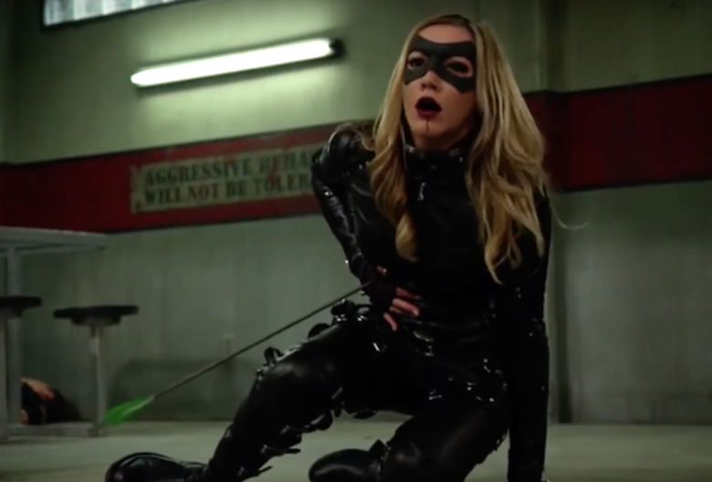 arrow-laurel-dies