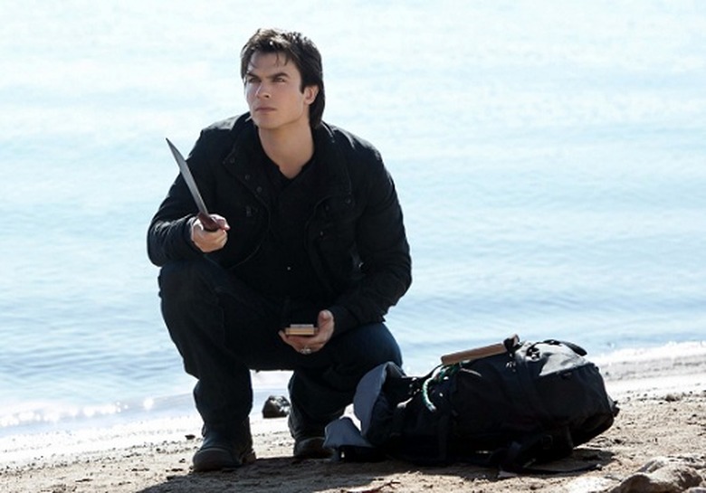 Into the Wild