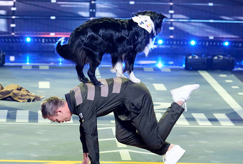AGT All Stars Lukas & Falco
