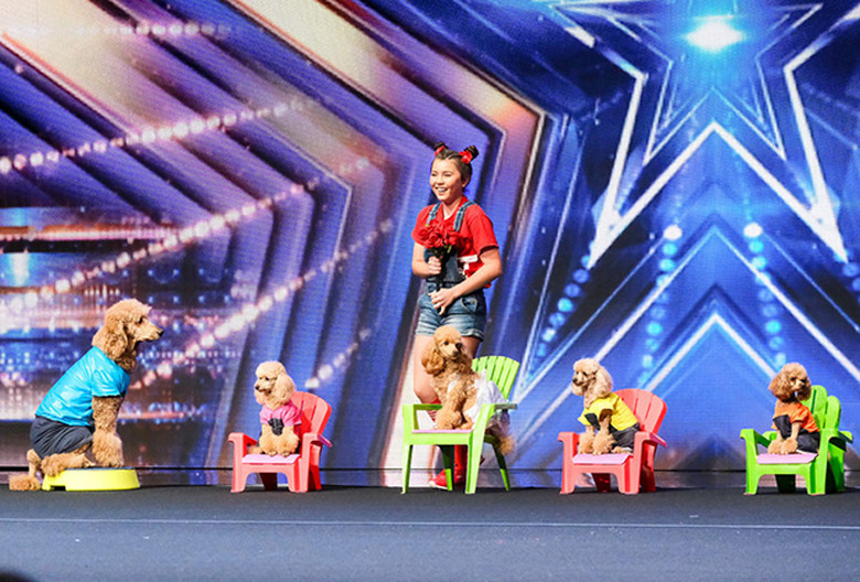 AGT Auditions Season 17