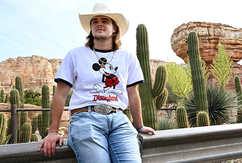 American Idol Top 3 Voting Results Disney Night