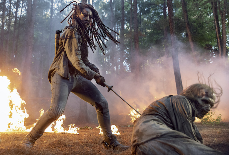 Michonne The Walking Dead