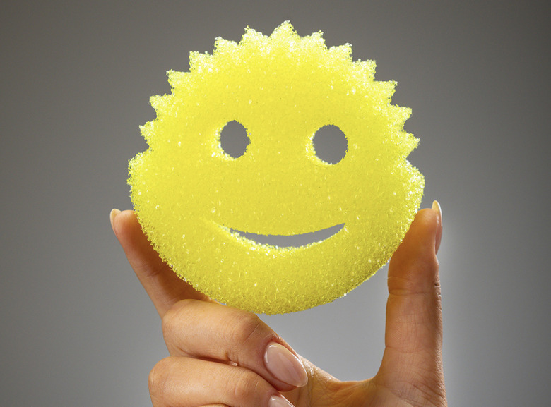 Scrub Daddy Sponge, Shark Tank's Best Products