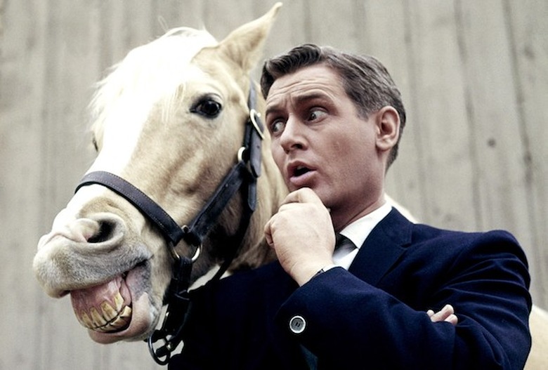 MISTER ED