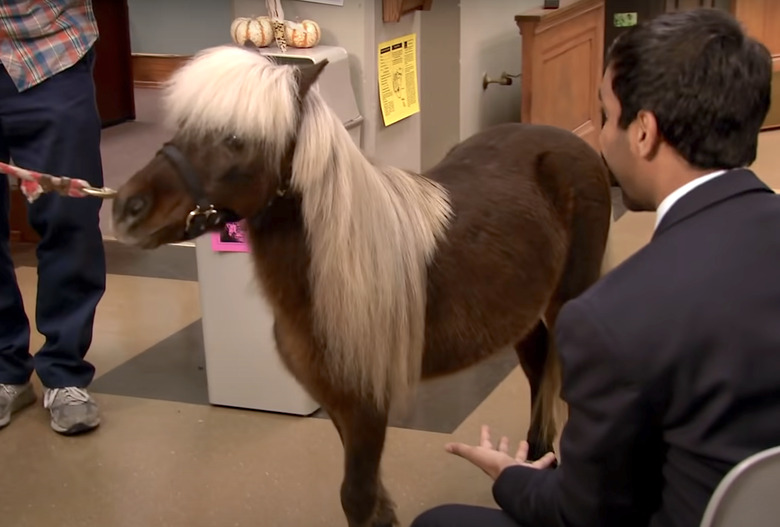 Li'l Sebastian, Parks and Recreation