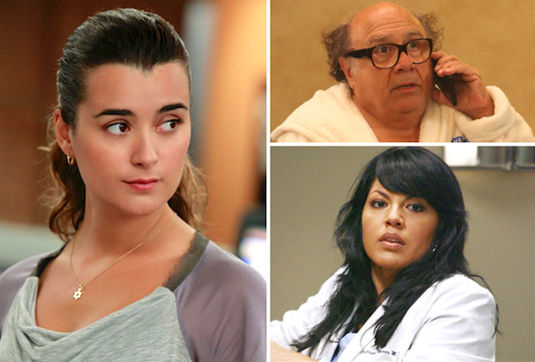 Best TV Characters Late Cast Additions Grey's NCIS Sunny