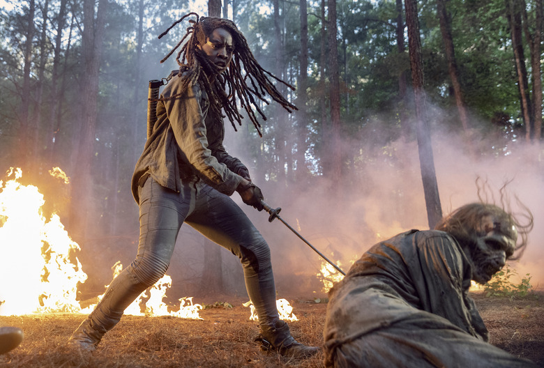 Danai Gurira as Michonne; group - The Walking Dead _ Season 10 - Photo Credit: Jackson Lee Davis/AMC