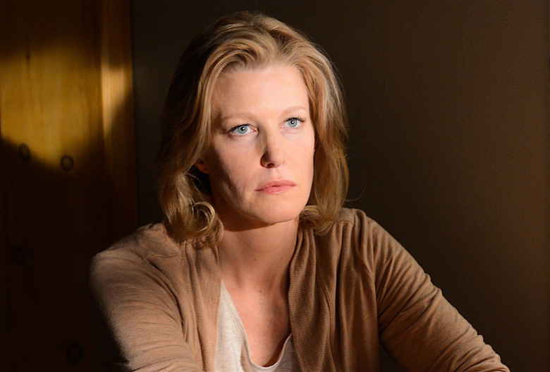 Breaking Bad Skyler White