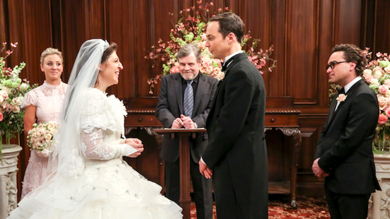 the big bang theory the bow tie asymmetry 11x24