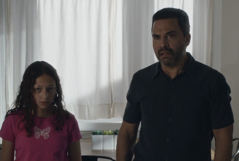 blue-bloods-amelia-ramirez