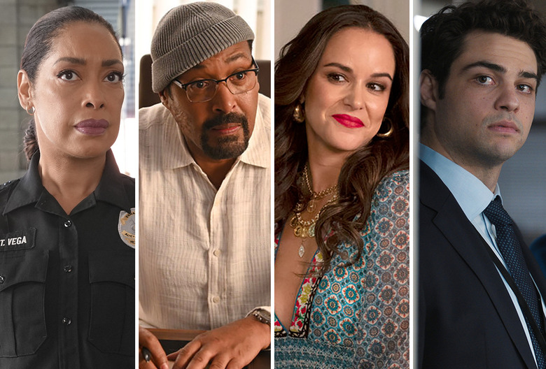New TV Roles Stars of Cancelled Shows