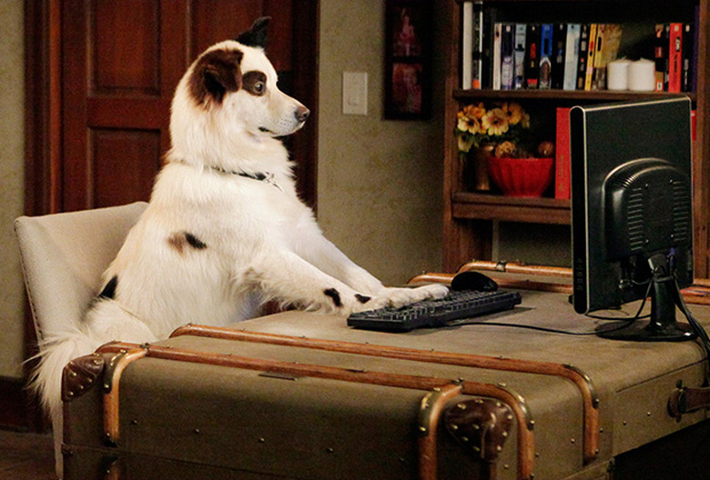 Best Disney Channel Characters Ranked