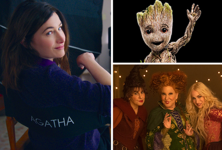 Disney+ Day News