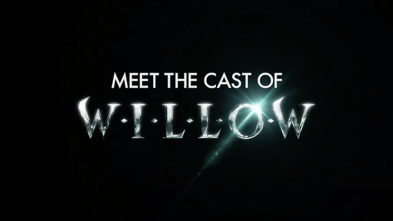 Willow