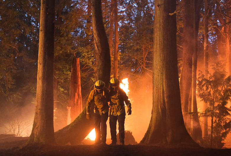 FIRE COUNTRY